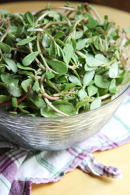 Purslane by Olga Irez of Delicious Istanbul