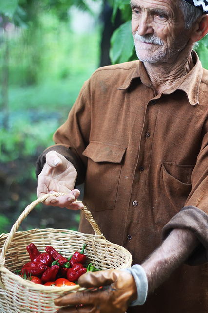 Old Gardener by Olga Irez of Delicious Istanbul