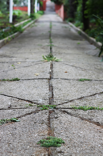 Buyukada Princes' Islands by Olga Irez of Delicious Istanbul