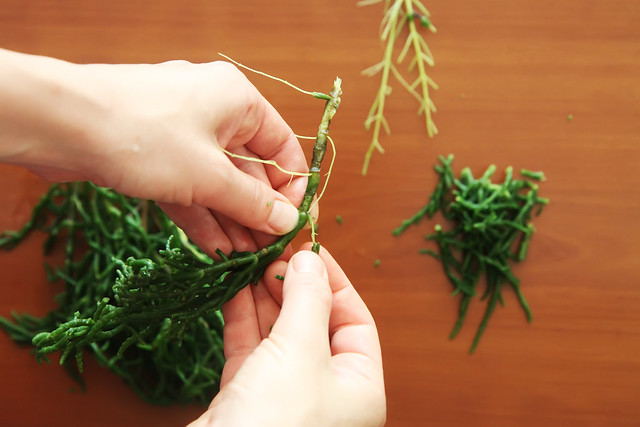 How to Peel Samphire by Olga Irez of Delicious Istanbul