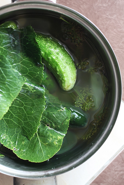 Pickled Cucumber by Olga Irez of Delicious Istanbul
