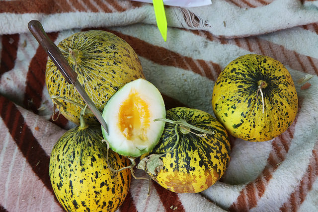Mellon at Alacati Market by Olga Irez of Delicious Istanbul 