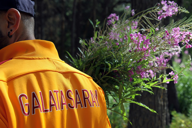 Foraging for the Willowherb by Olga Irez of Delicious Istanbul