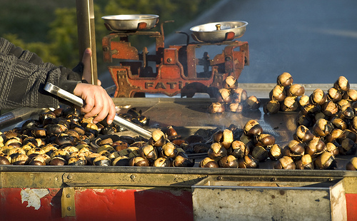 Your Definitive Guide to Gluten-free Istanbul post image