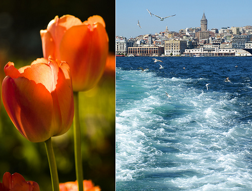 4588473247 6477a27b95 Perfect Food Weekend in Istanbul