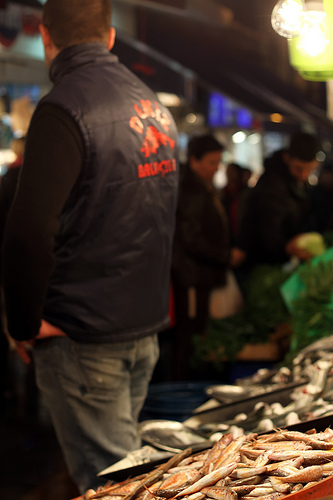 5591465335 5f7c8d0dea Istanbul Fish Poetry and Sea Bass Recipe