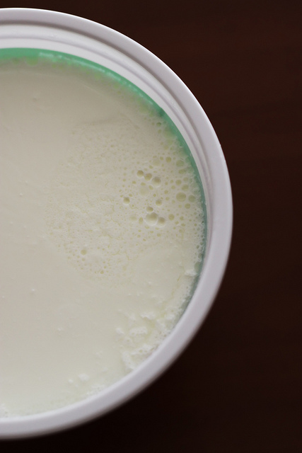 Turkish Yogurt by Olga Irez of Delicious Istanbul