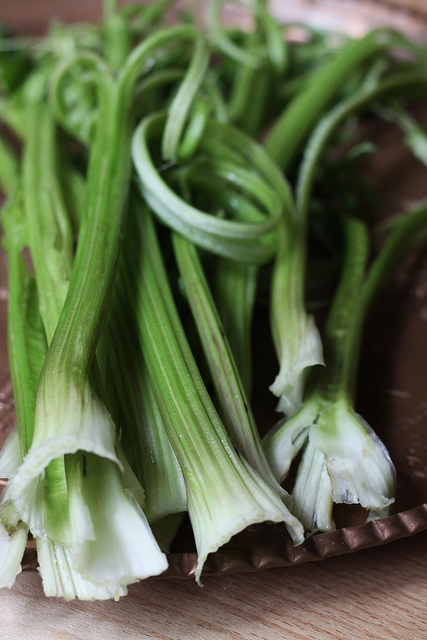 Celery Stalks by Olga Irez of Delicious Istanbul