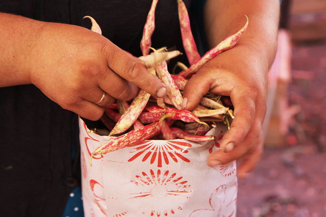 Fresh Borlotti Beans by Olga Irez of Delicious Istanbul