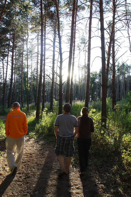 Walking in the Woods by Olga Irez of Delicious Istanbul