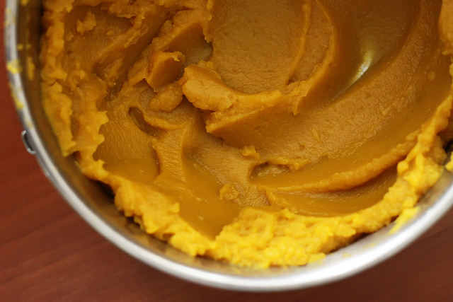 Homemade Pumpkin Puree by Olga Irez