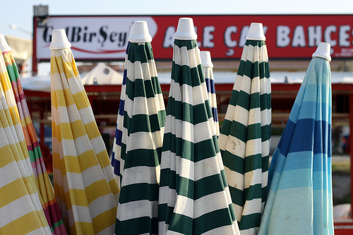Purslane Yoghurt Salad (and Other Things I Have Missed This Istanbul Summer) post image