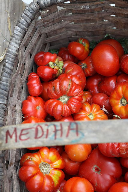 Delicious Istanbul Food Manifesto post image