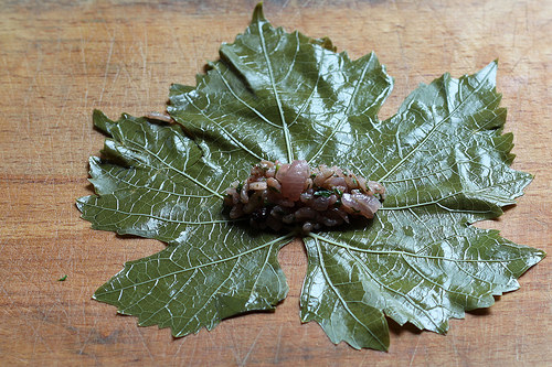 Stuffed Vine Leaves