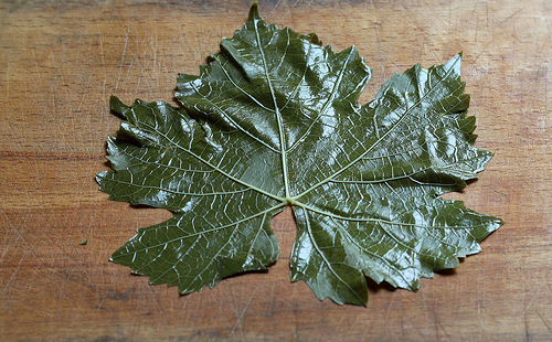 Stuffed Vine Leaves