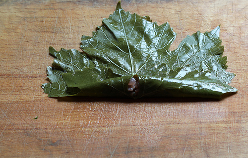 Stuffed Vine Leaves