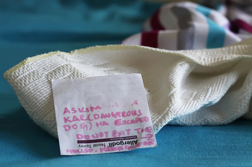 6025052769 b5fe3014d9 Decent End of The Turbulent Week: Rice Casserole