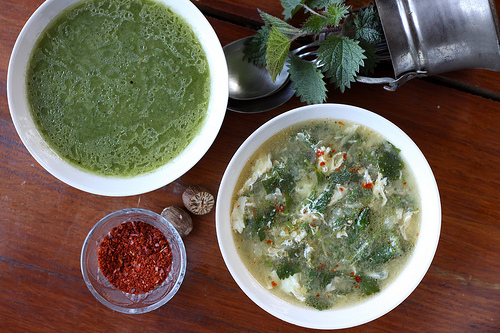 Nettle Soup