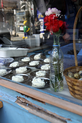 Kaymakci Pando Besiktas