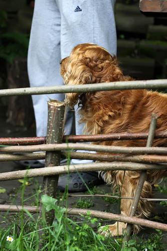My Urfa Kebab by Olga Irez of Delicious Istanbul