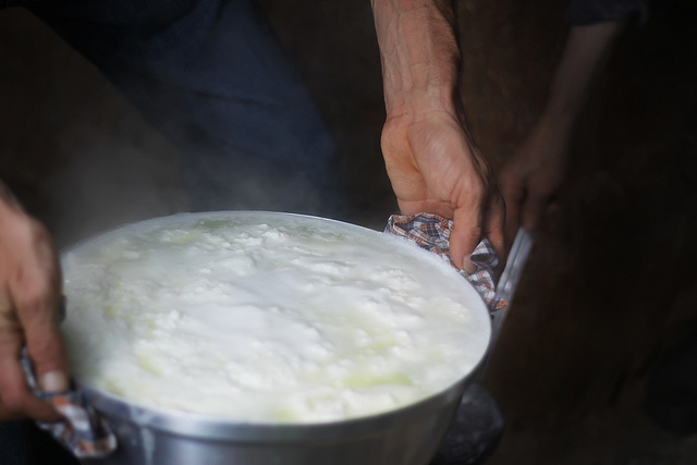 Making Cheese by Olga Irez of Delicious Istanbul