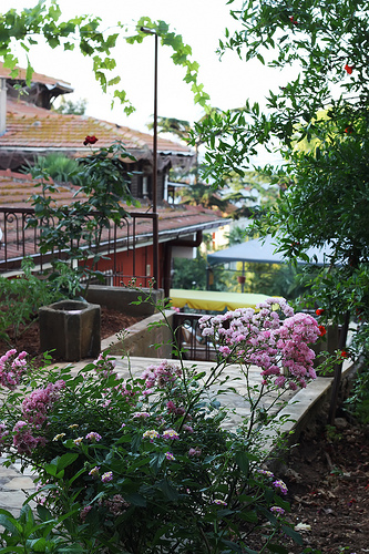 Buyukada Princes' Islands by Olga Irez of Delicious Istanbul