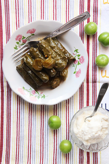 Red Lentil Stuffed Grape Leaves by Olga Irez