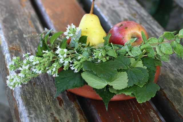 DIY Herbal Tea by Olga Irez of Delicious Istanbul