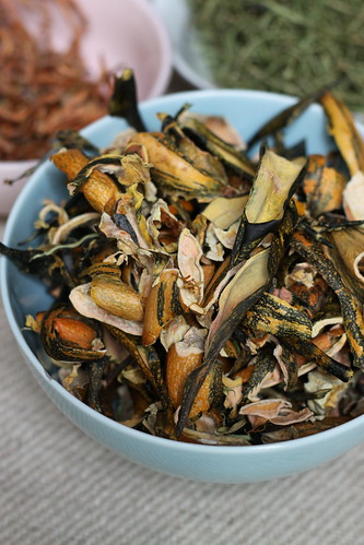 Dry Butternut Squash Peel