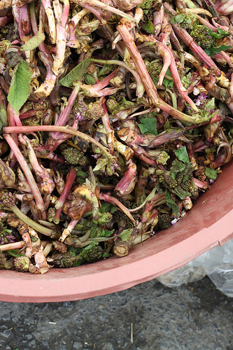 Wild Herbs Inebolu Market Istanbul