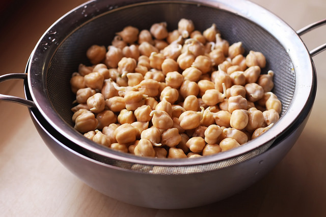 How to Sprout Chickpeas Olga Irez