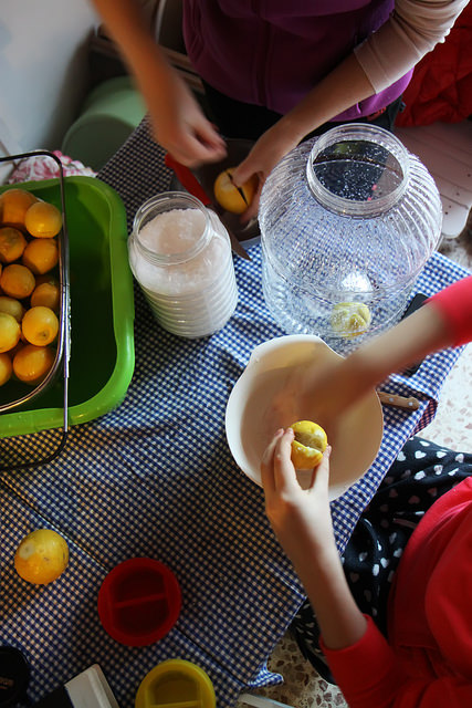 Preserved Moroccan Lemons by Olga Irez