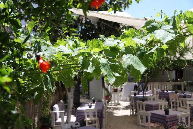 Babushka Alacati Garden by Olga Irez