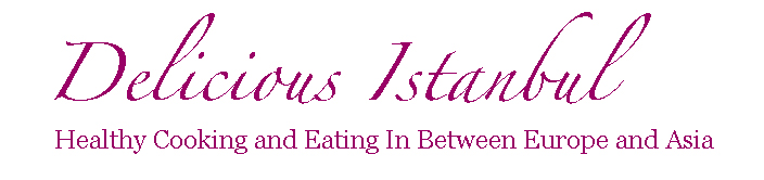 Delicious Istanbul Logo